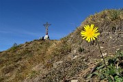 60 Il fiore giallo mi indica la croce...